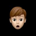 Professional experience